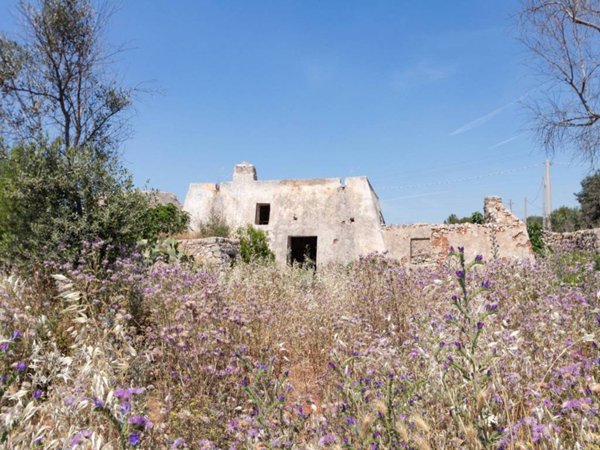 casa indipendente in vendita a Salve