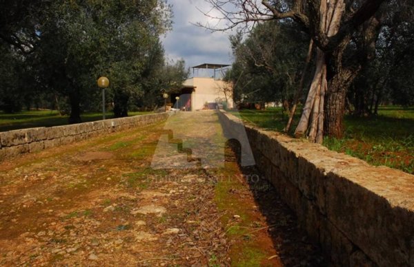 casa indipendente in vendita a Salve