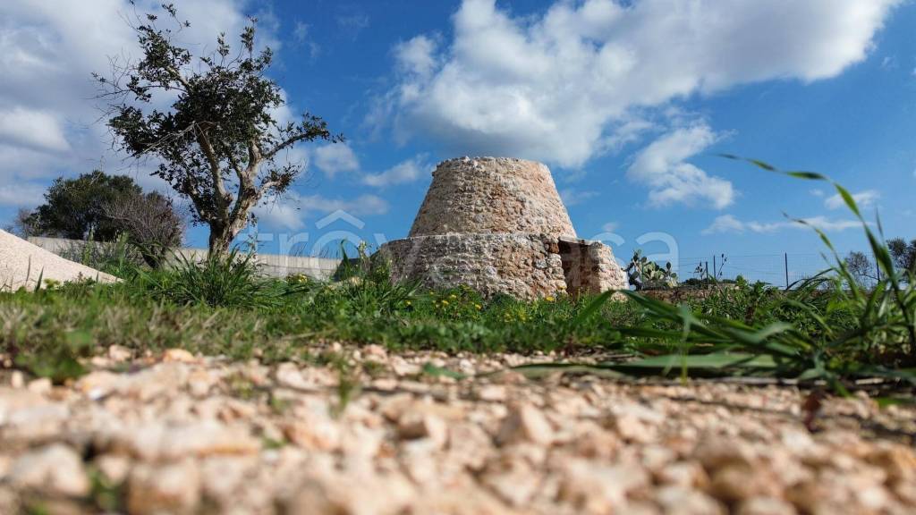 terreno agricolo in vendita a Salve