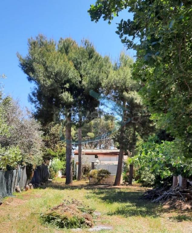casa indipendente in vendita a Salve