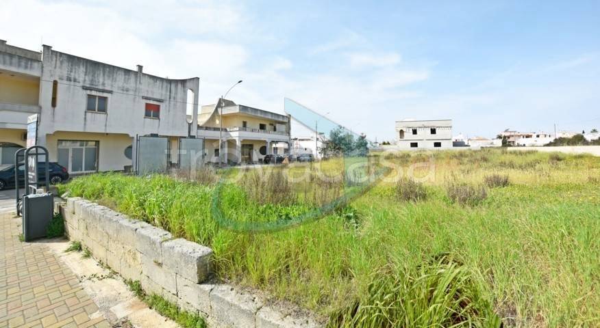 terreno agricolo in vendita a Salve