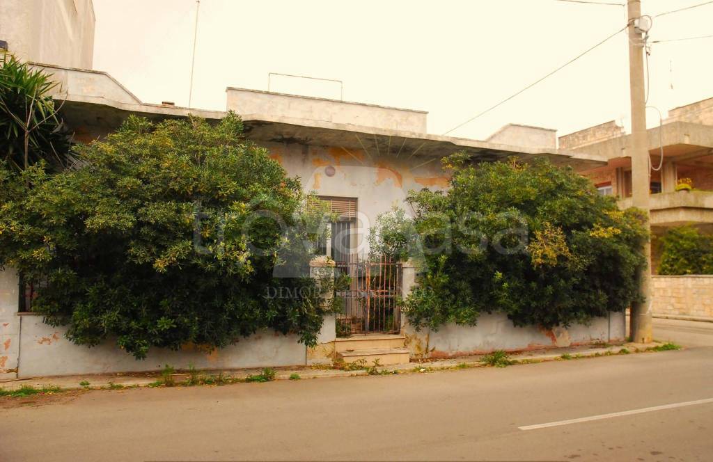casa indipendente in vendita a Salve