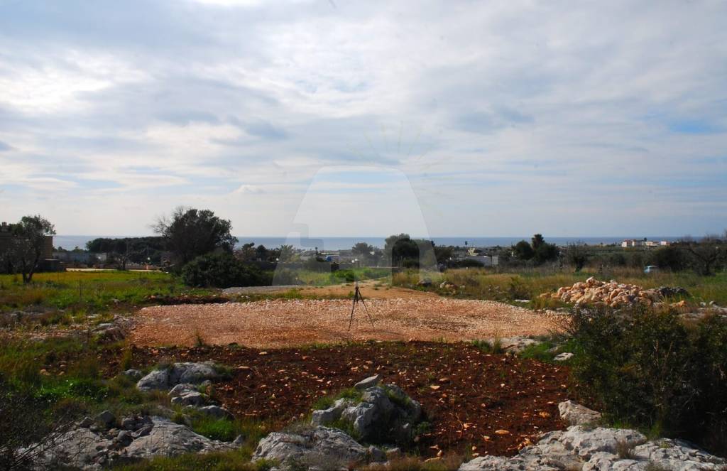 terreno agricolo in vendita a Salve