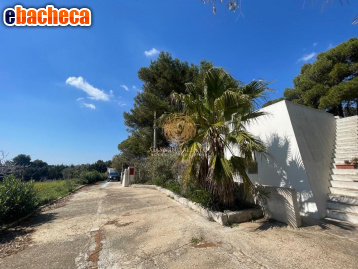 casa indipendente in vendita a Salve in zona Torre Pali