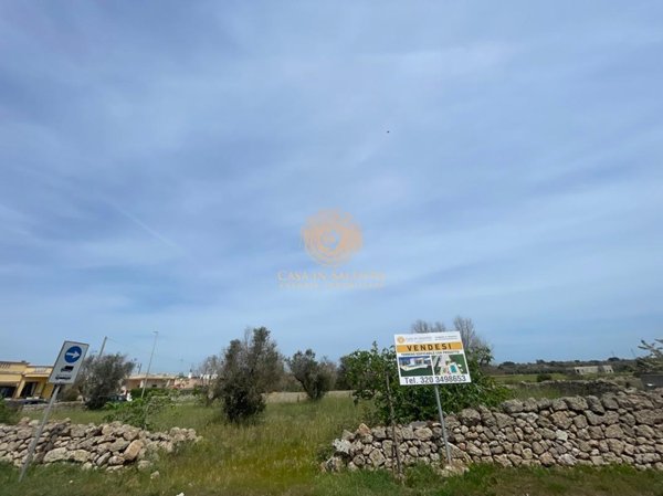 terreno agricolo in vendita a Salve in zona Ruggiano