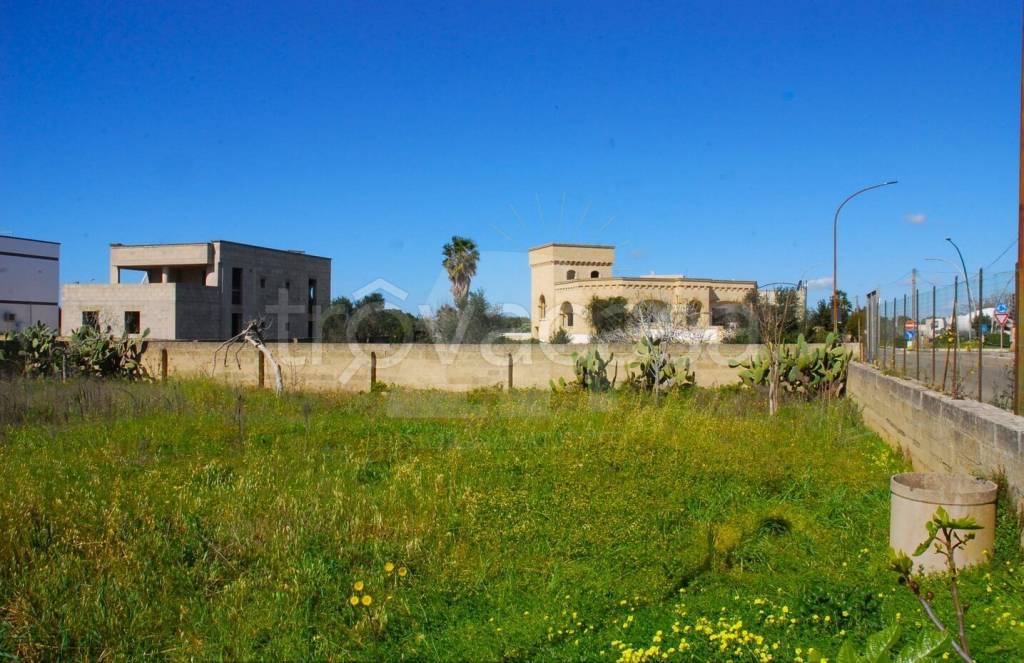 casa indipendente in vendita a Salve