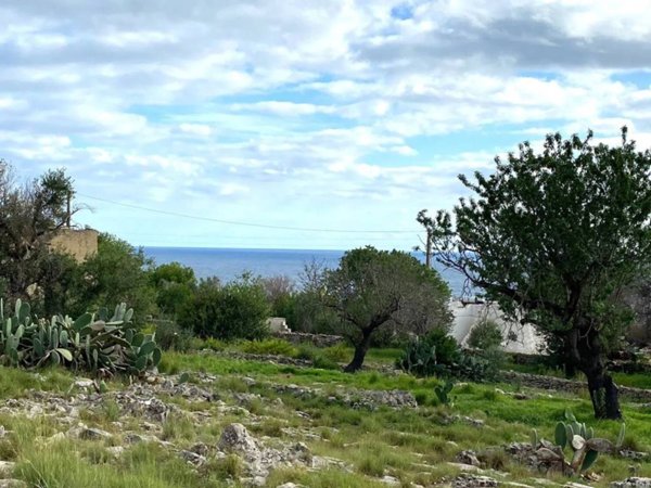 terreno agricolo in vendita a Salve