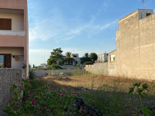 terreno agricolo in vendita a Salve