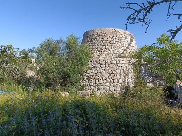 casa indipendente in vendita a Salve