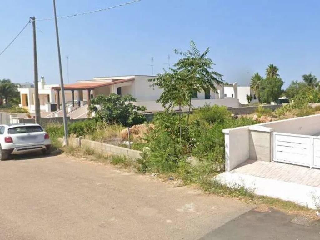 terreno agricolo in vendita a Salve