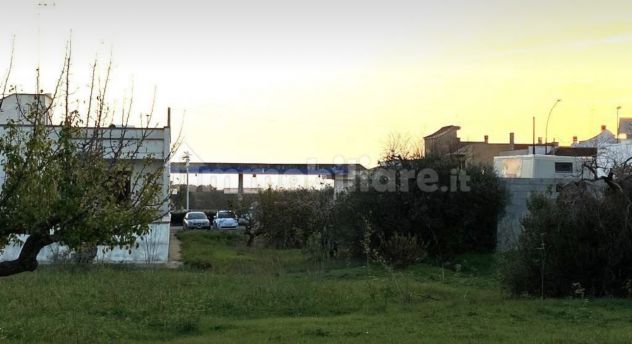 terreno agricolo in vendita a Salve