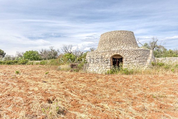 casa indipendente in vendita a Salve