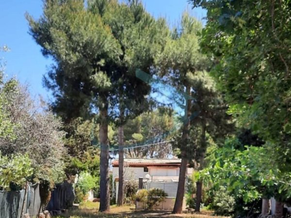 casa indipendente in vendita a Salve