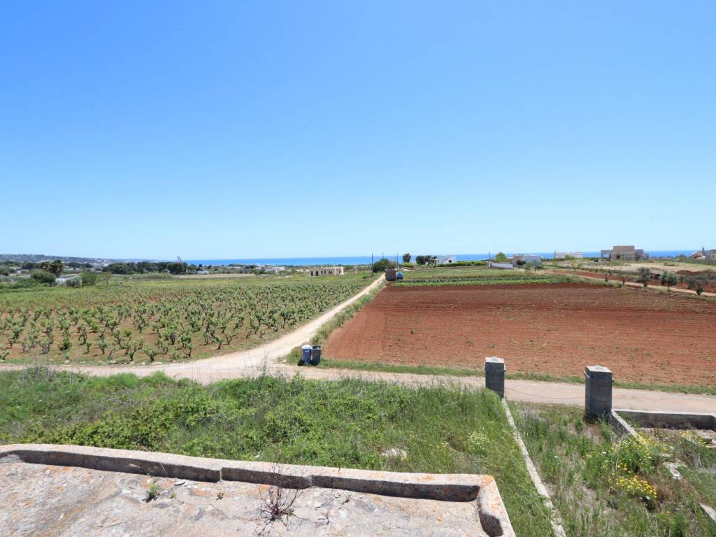 terreno agricolo in vendita a Salve