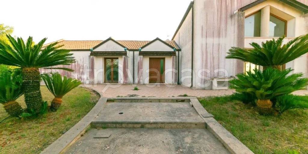 casa indipendente in vendita a Salve