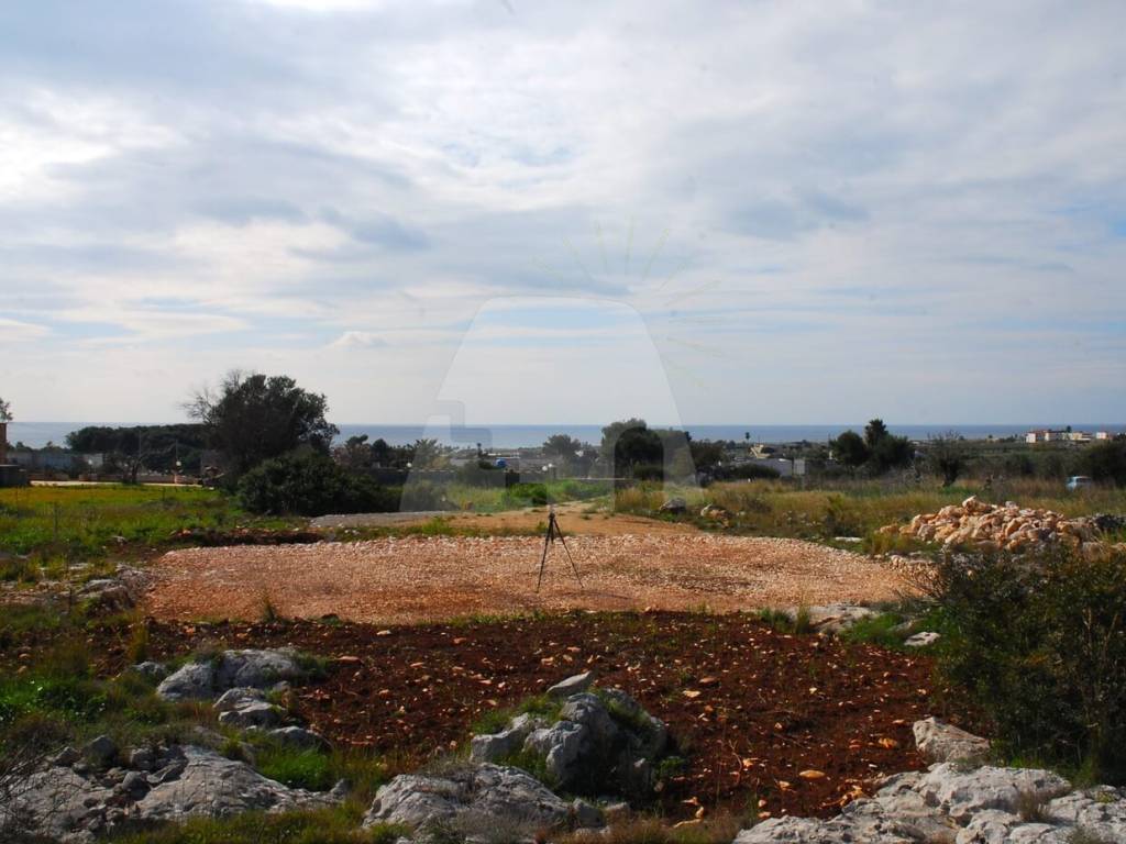 terreno agricolo in vendita a Salve