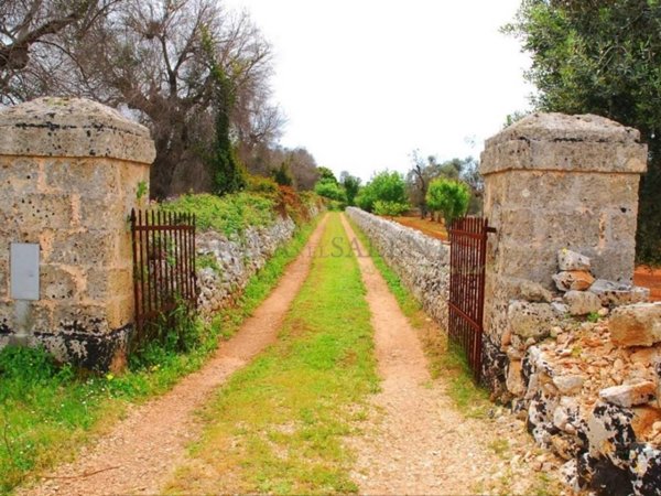 casa indipendente in vendita a Salve