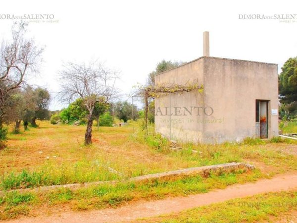 casa indipendente in vendita a Salve