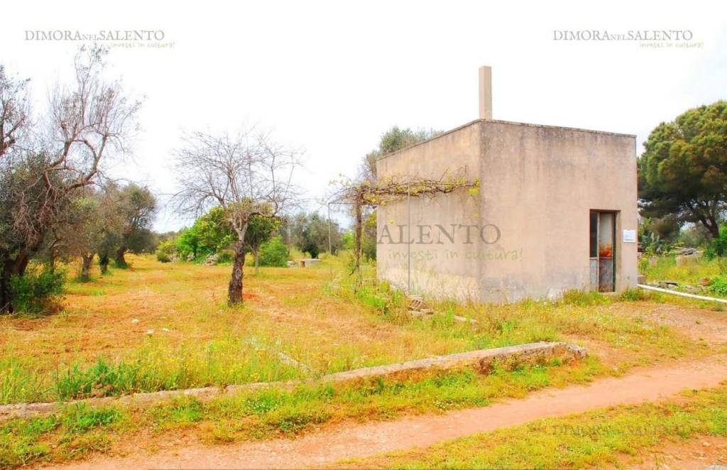 casa indipendente in vendita a Salve