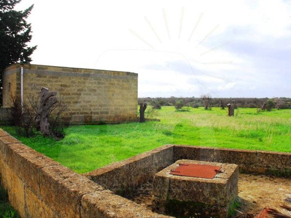 terreno agricolo in vendita a Salve