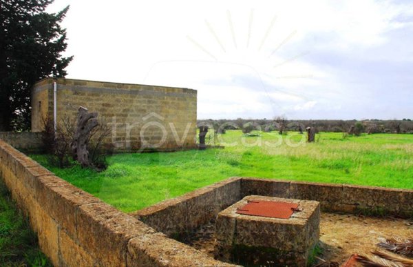 terreno agricolo in vendita a Salve in zona Lido Marini