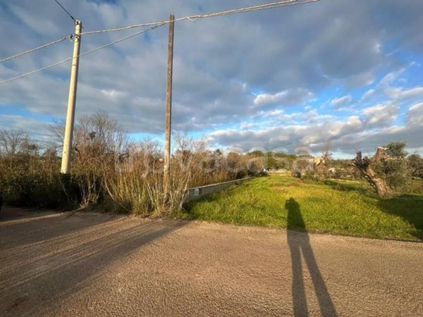 casa indipendente in vendita a Salve in zona Torre Pali