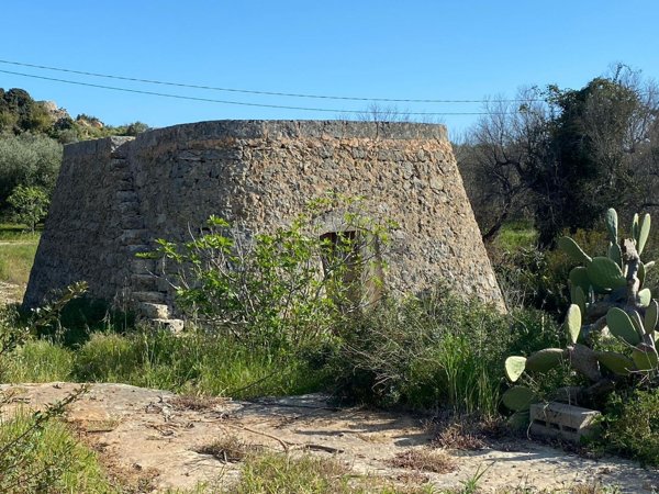 terreno agricolo in vendita a Salve