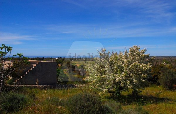 terreno agricolo in vendita a Salve