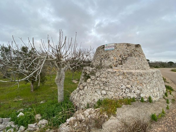 terreno agricolo in vendita a Salve
