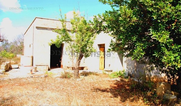 terreno agricolo in vendita a Salve