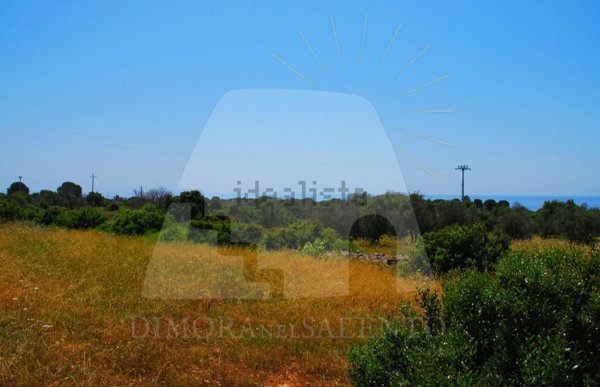 terreno agricolo in vendita a Salve in zona Torre Pali
