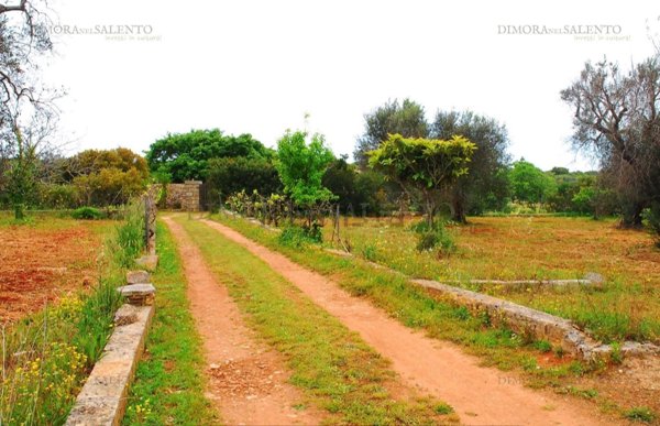 casa indipendente in vendita a Salve