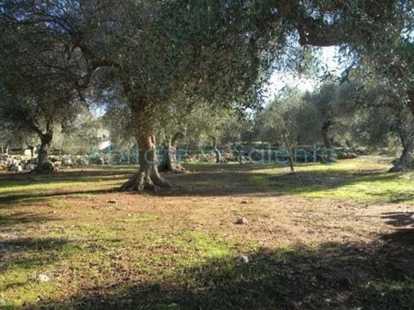 terreno agricolo in vendita a Salve in zona Torre Pali