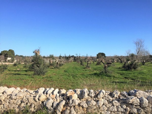 casa indipendente in vendita a Salve