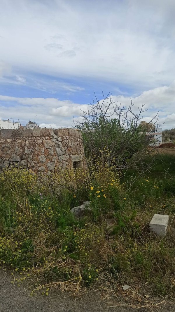 casa indipendente in vendita a Salve