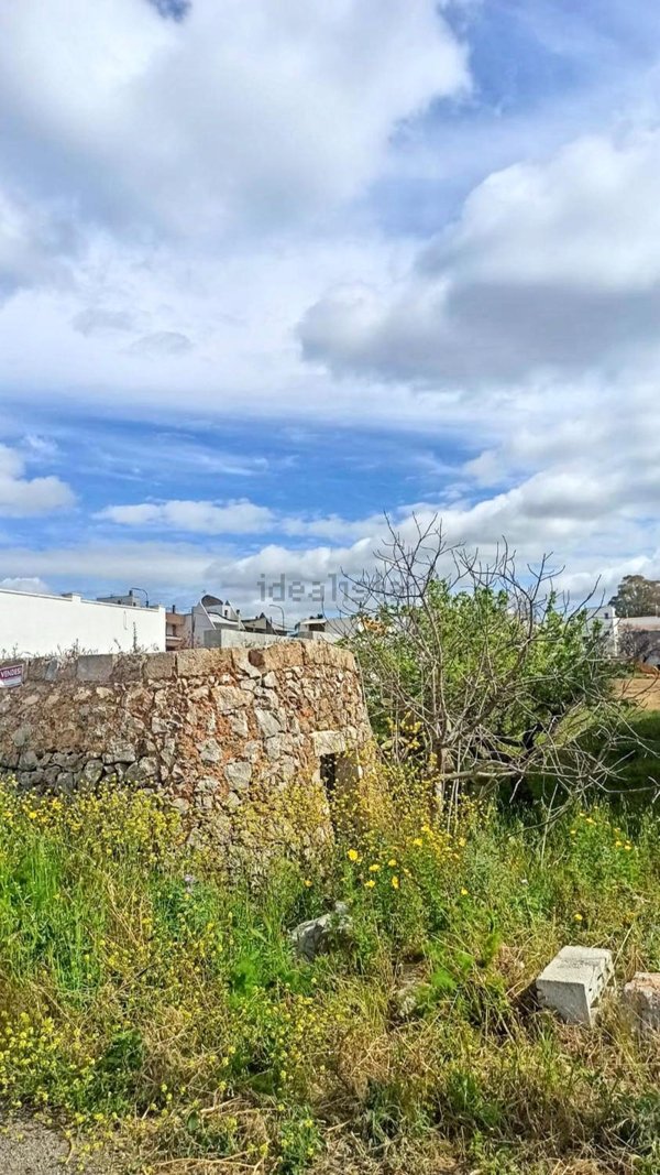 casa indipendente in vendita a Salve