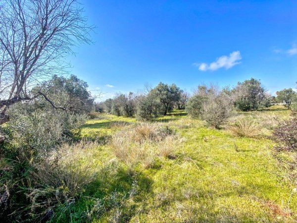 appartamento in vendita a Salve