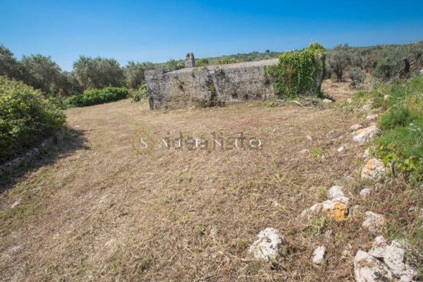 appartamento in vendita a Salve in zona Torre Pali