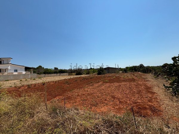 terreno agricolo in vendita a Salve in zona Posto Vecchio