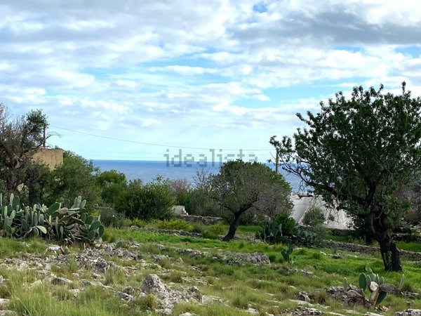 terreno agricolo in vendita a Salve