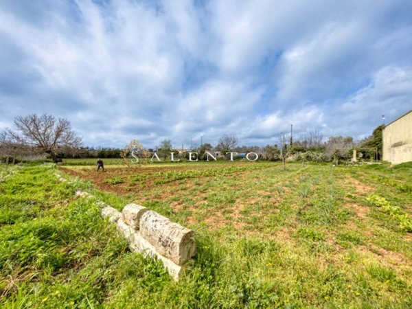 terreno agricolo in vendita a Salve