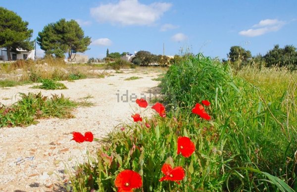 casa indipendente in vendita a Salve