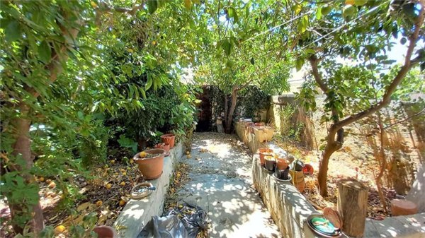 casa indipendente in vendita a Salve