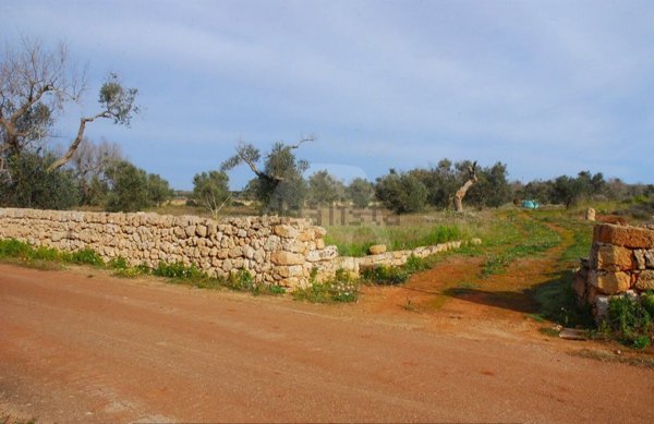casa indipendente in vendita a Salve