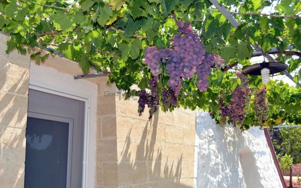 casa indipendente in vendita a Salve