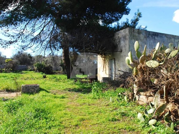 terreno agricolo in vendita a Salve