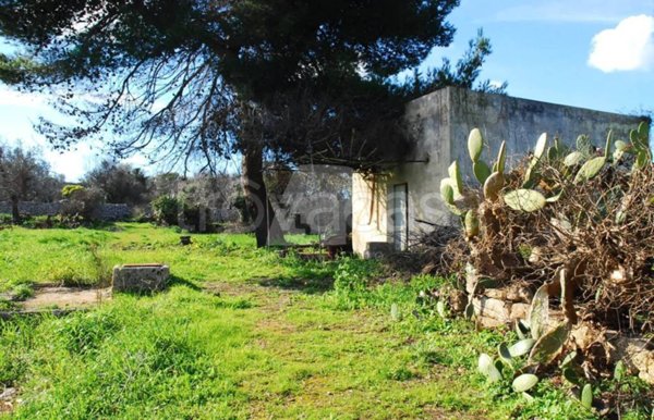 terreno agricolo in vendita a Salve