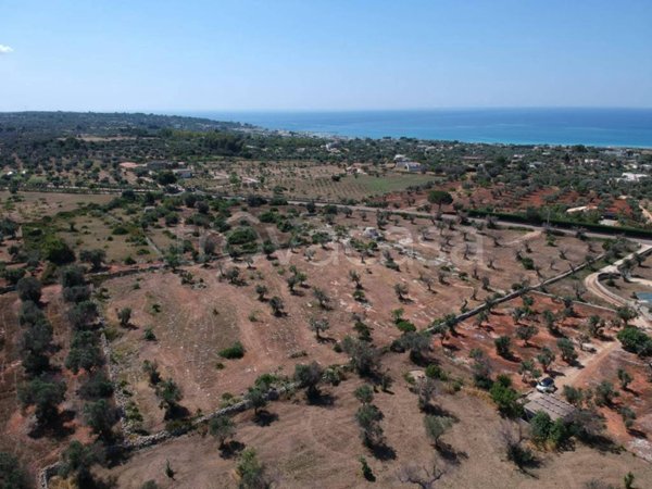 casa indipendente in vendita a Salve