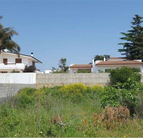 terreno agricolo in vendita a Salve