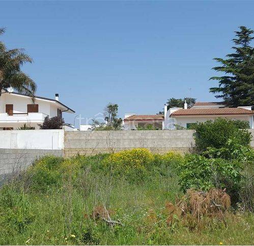 casa indipendente in vendita a Salve